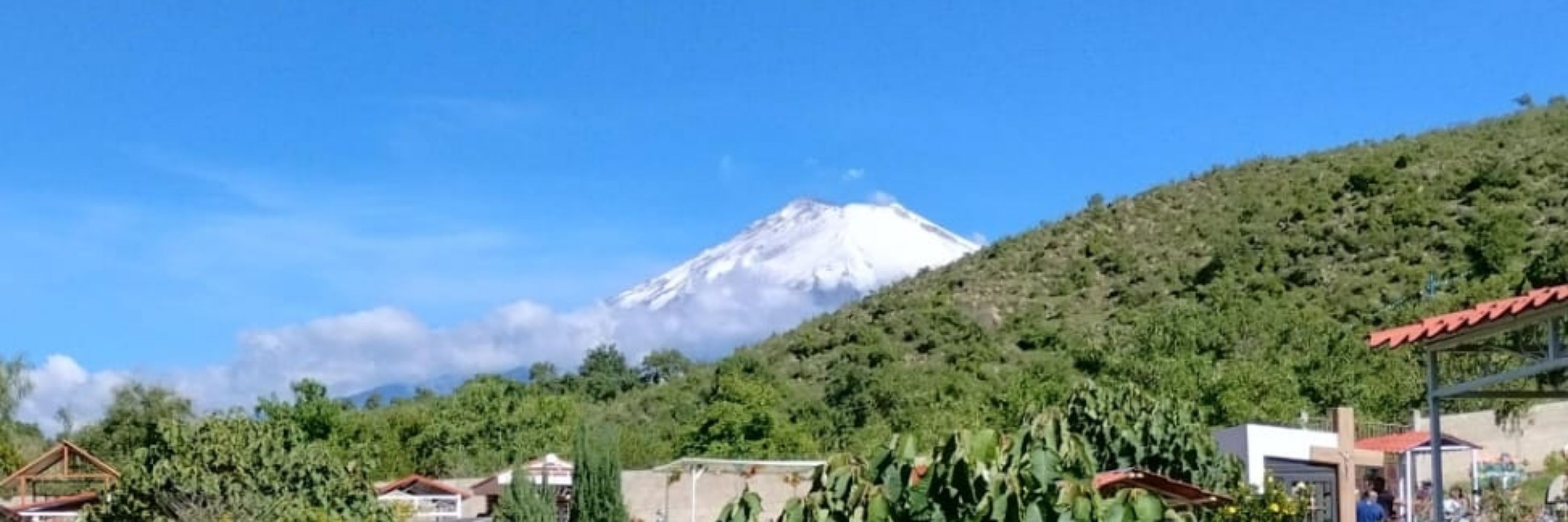Chimuelo cerro 