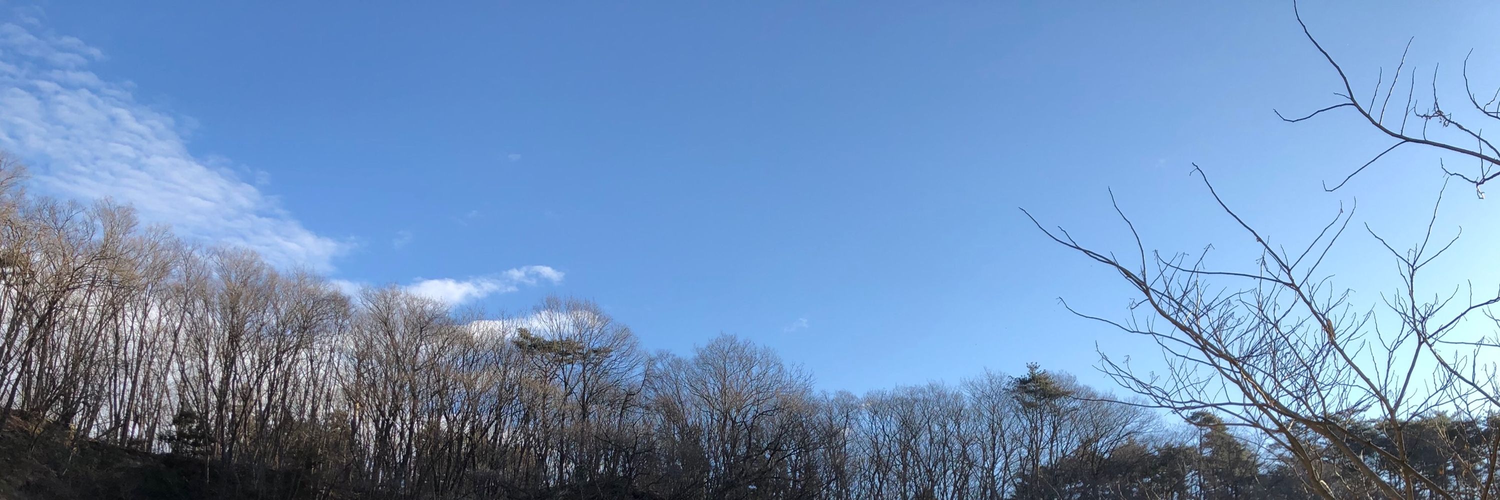 はぎー