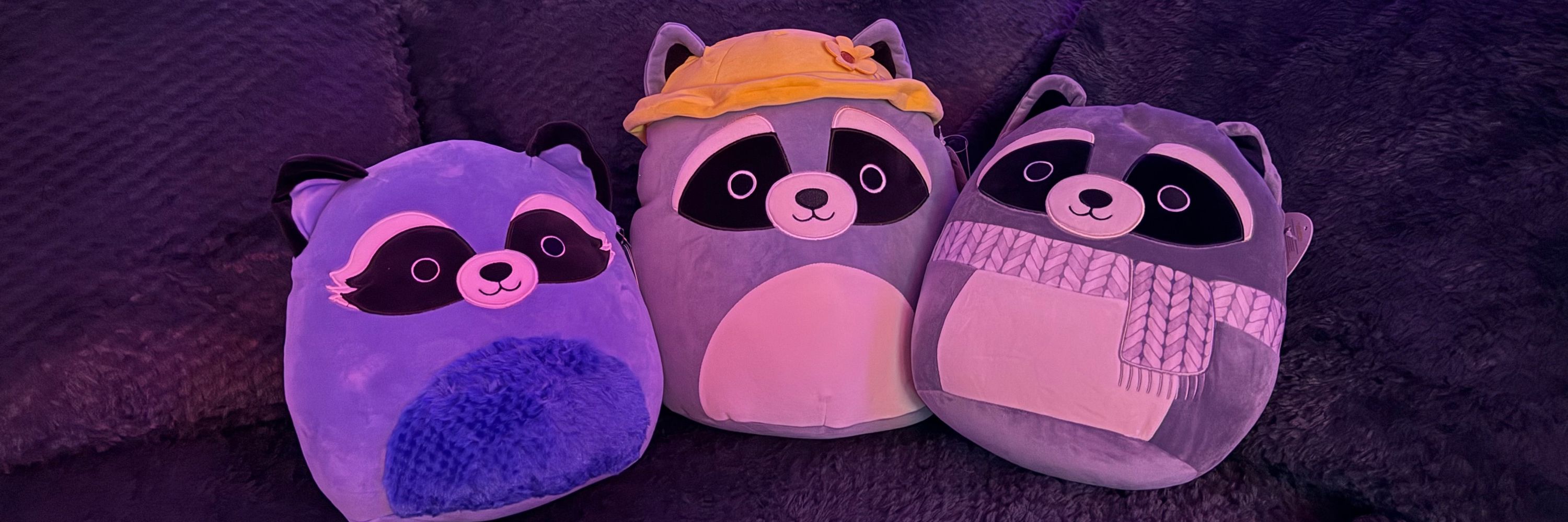 Zaddy Trash Panda