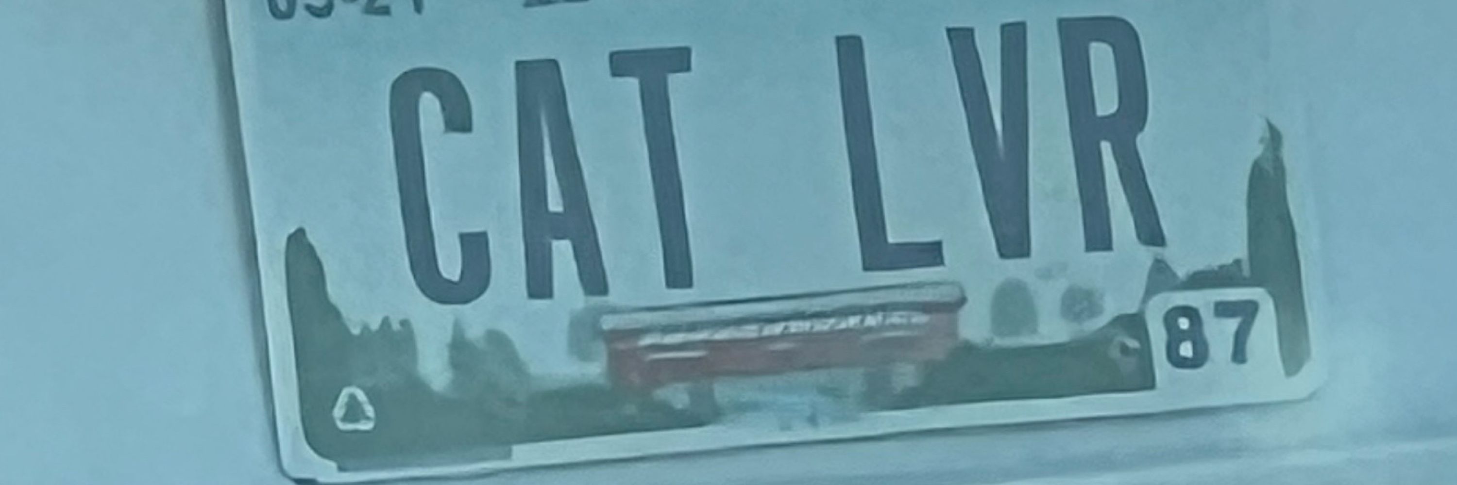 I-don’t-know-karate