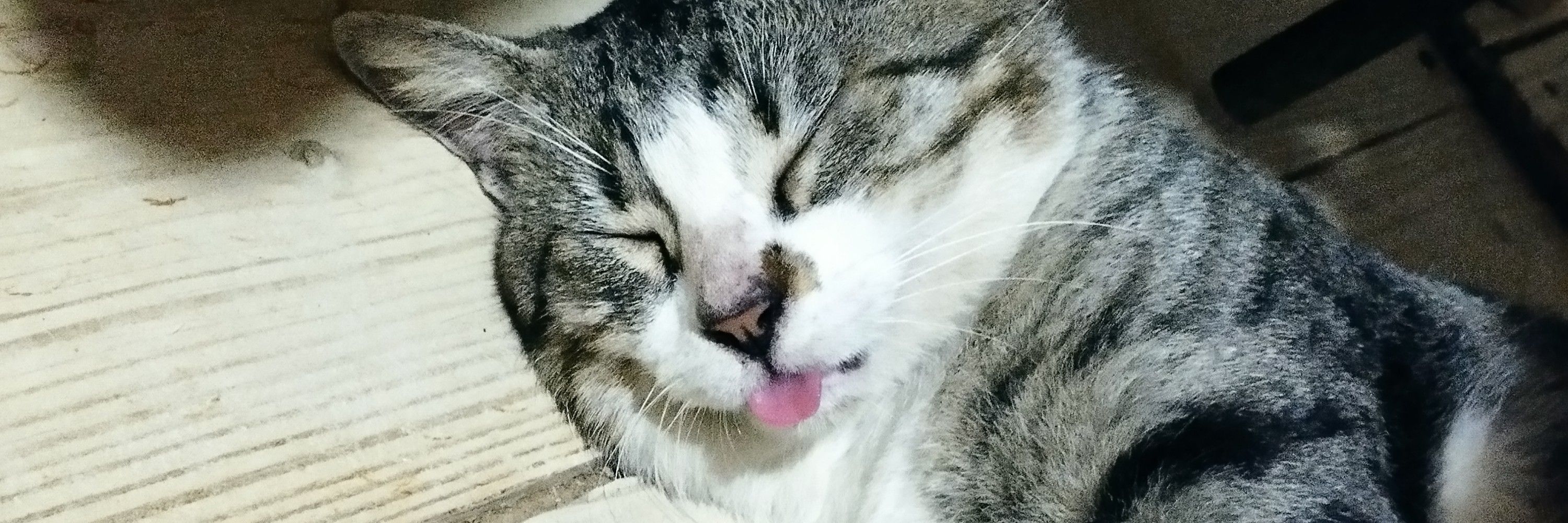 renatinha