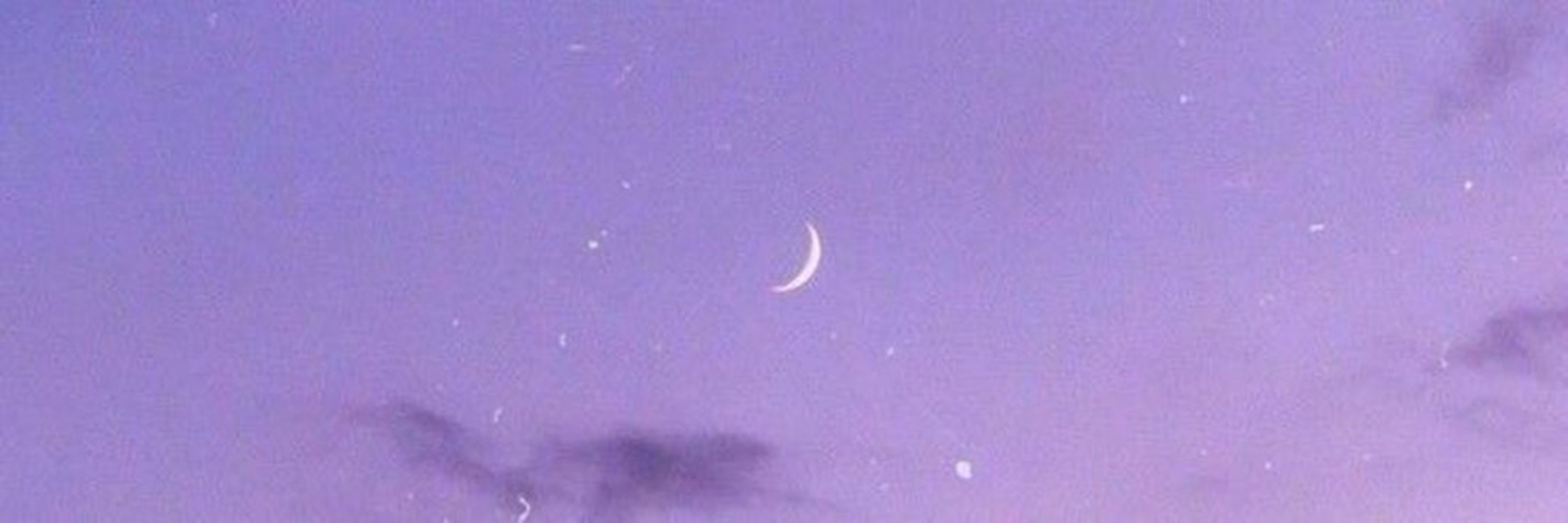 lua 💜✨️