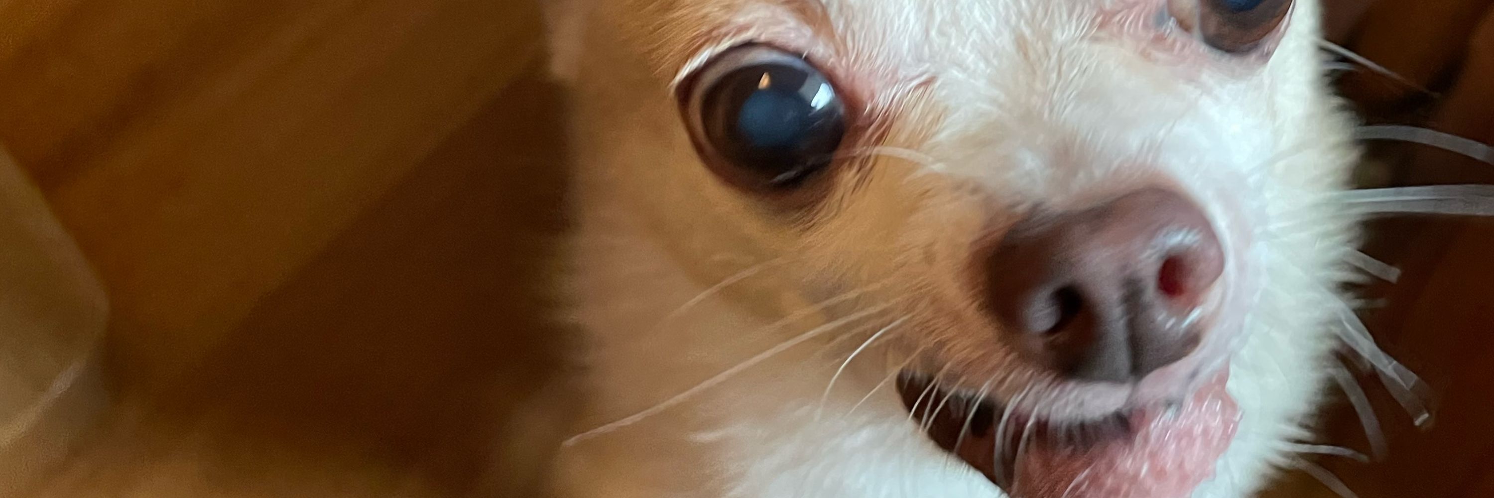 悠梨