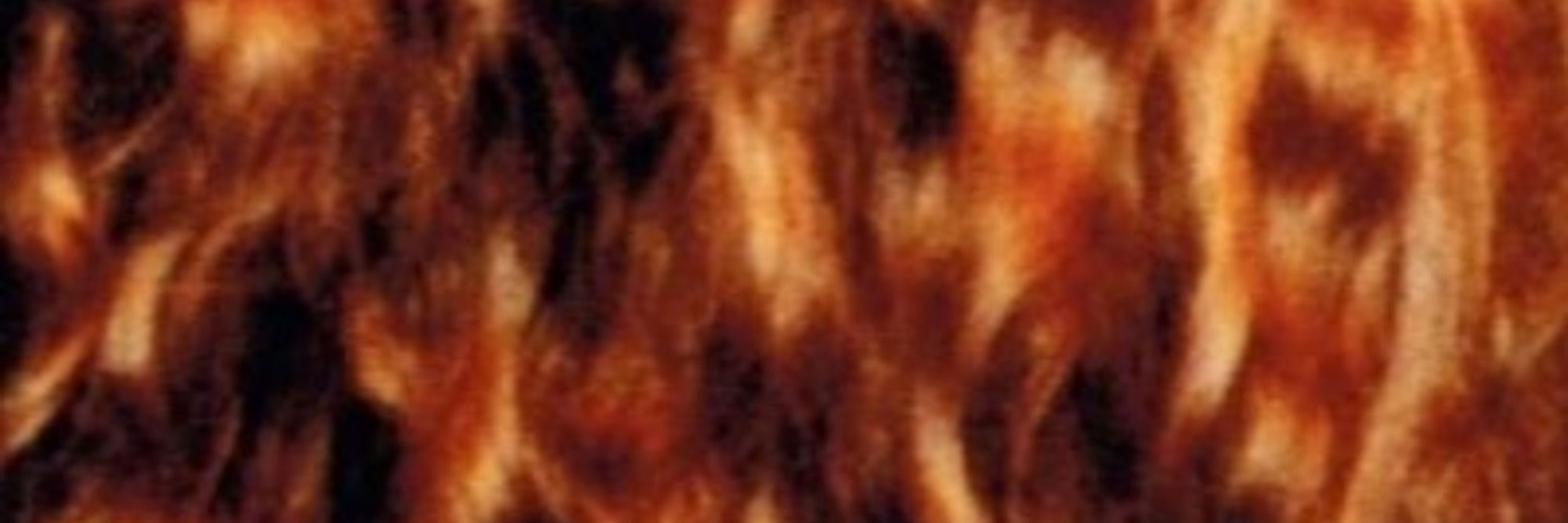 FlamingHarvest