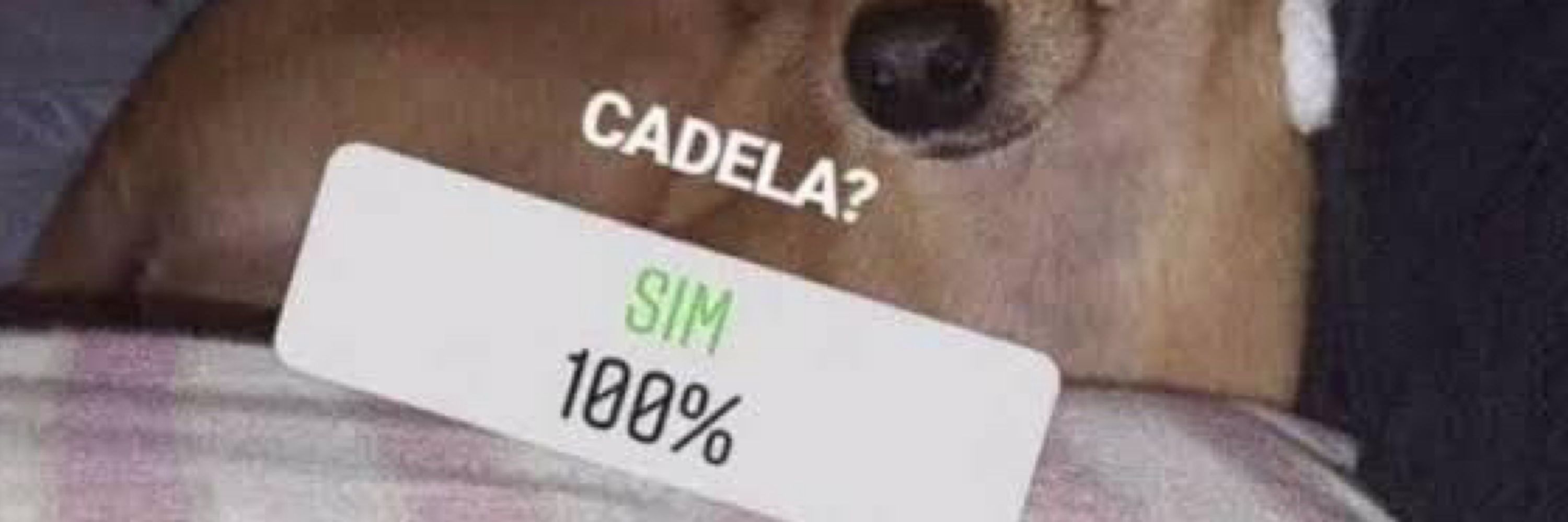 Bruna
