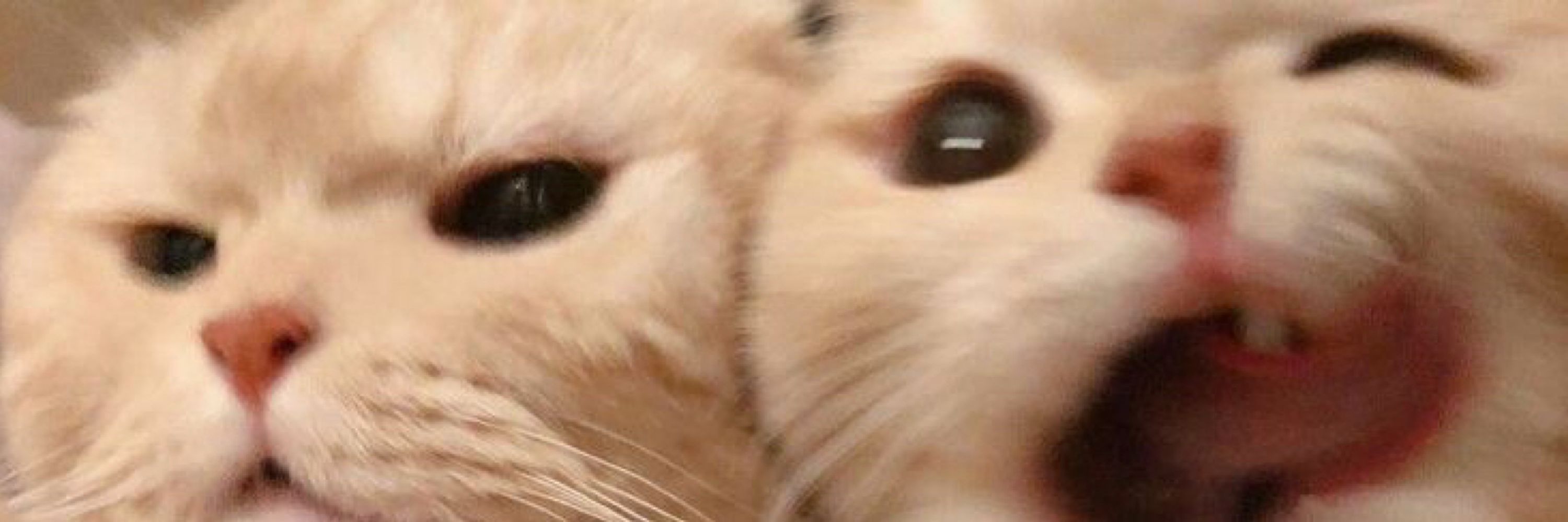 ju