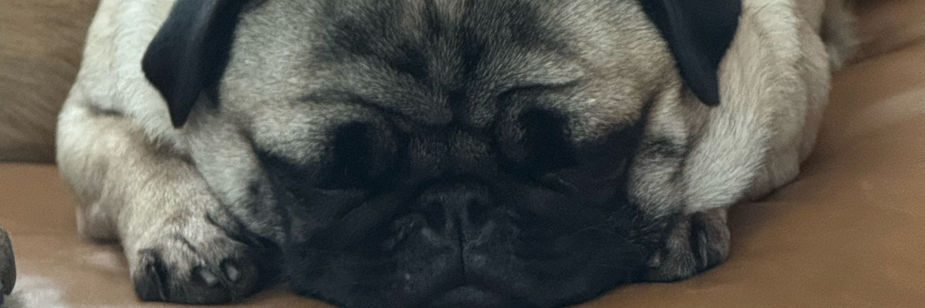 LordJarquad