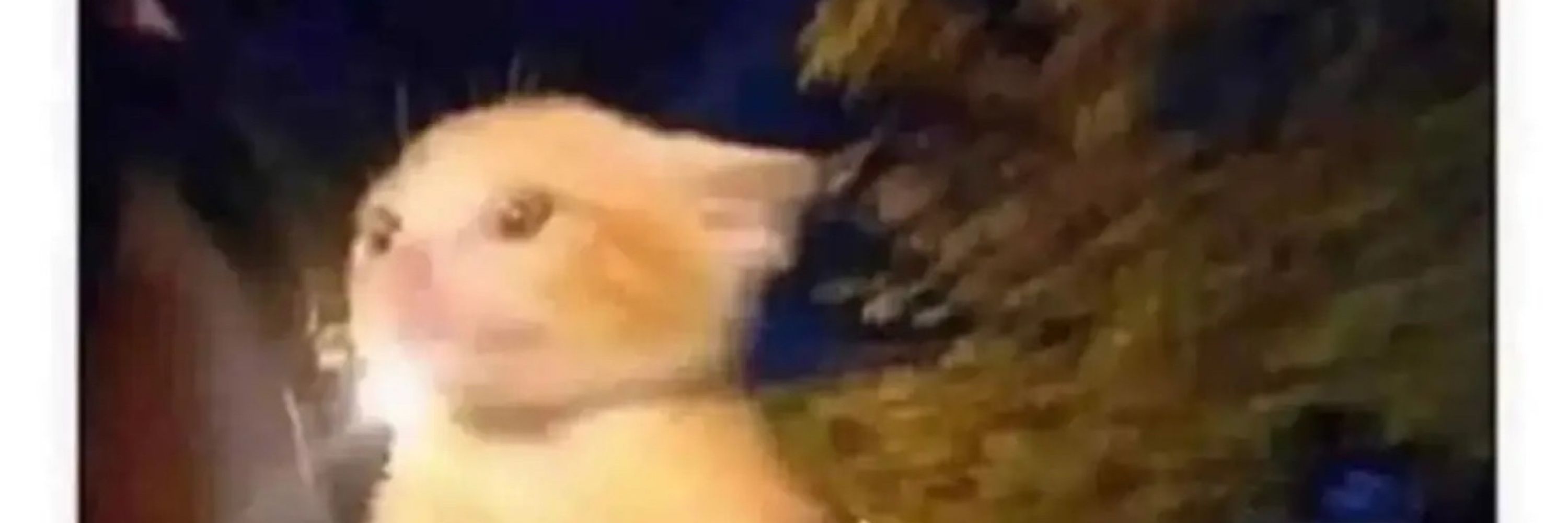 ⚠