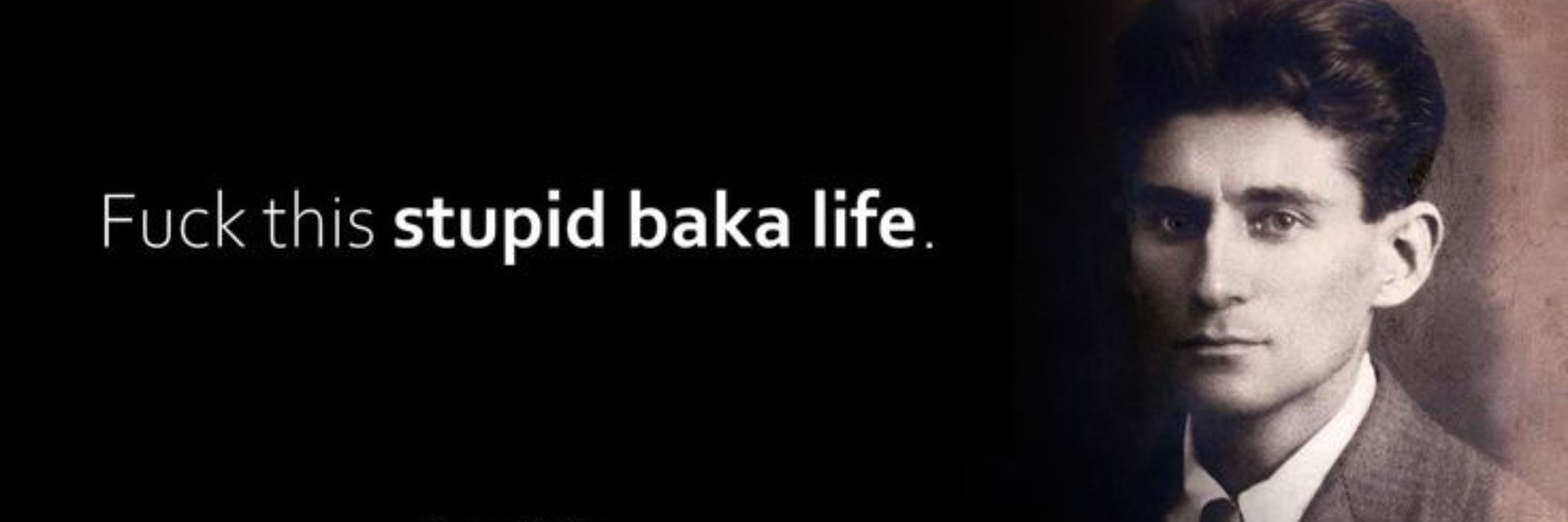 (reapp!) 
