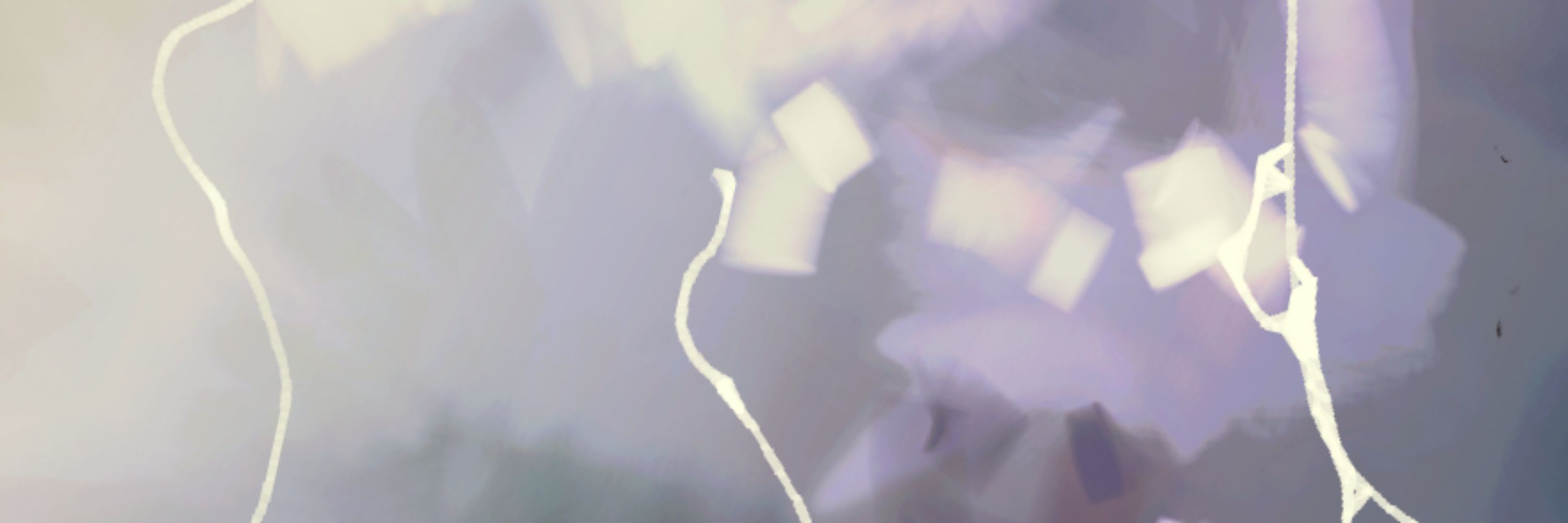 s❀nen