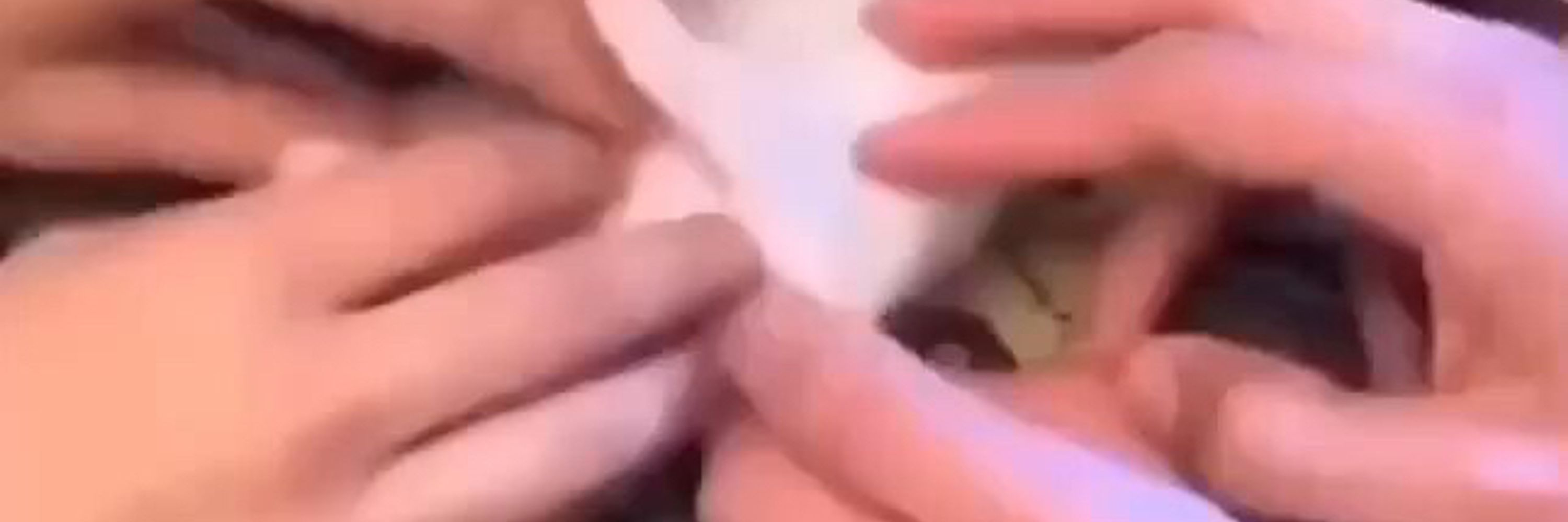 Saq