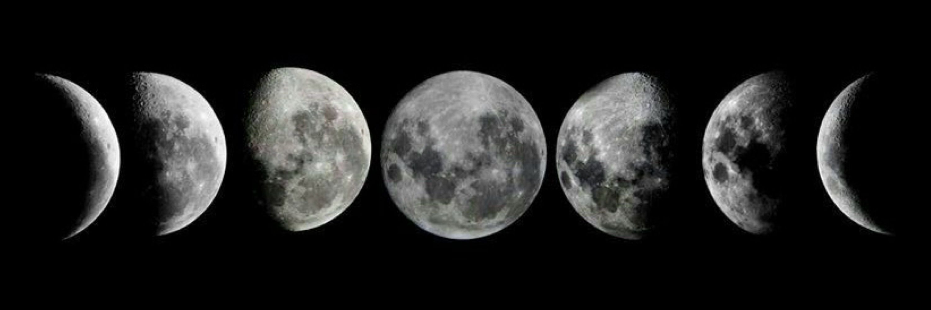 Lunatica10912