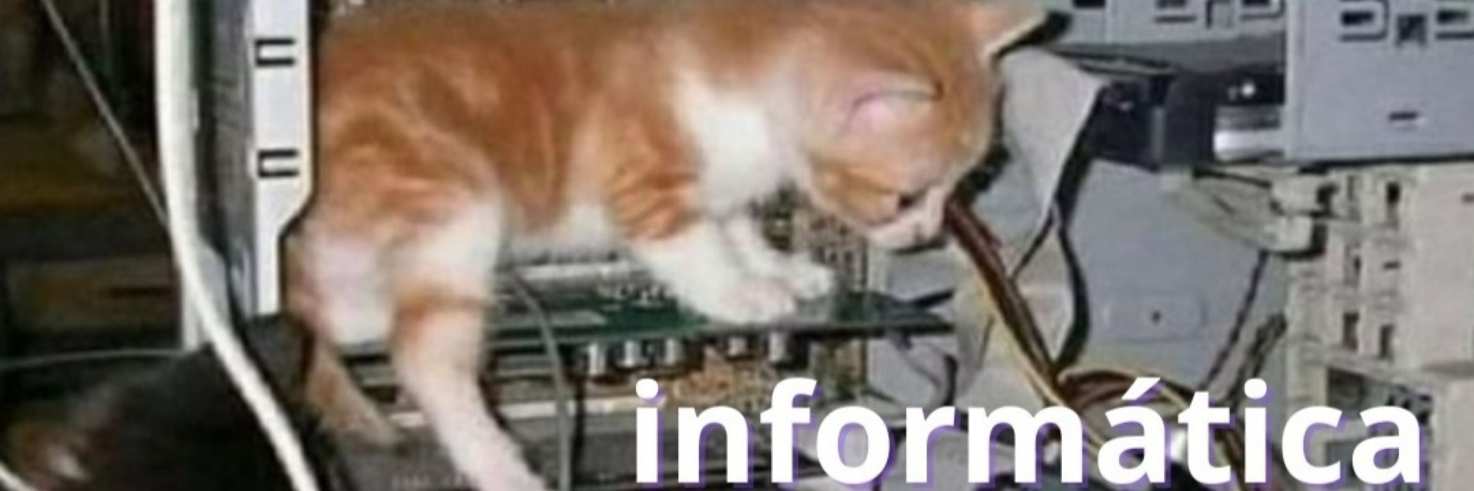 Crimewave.com.br
