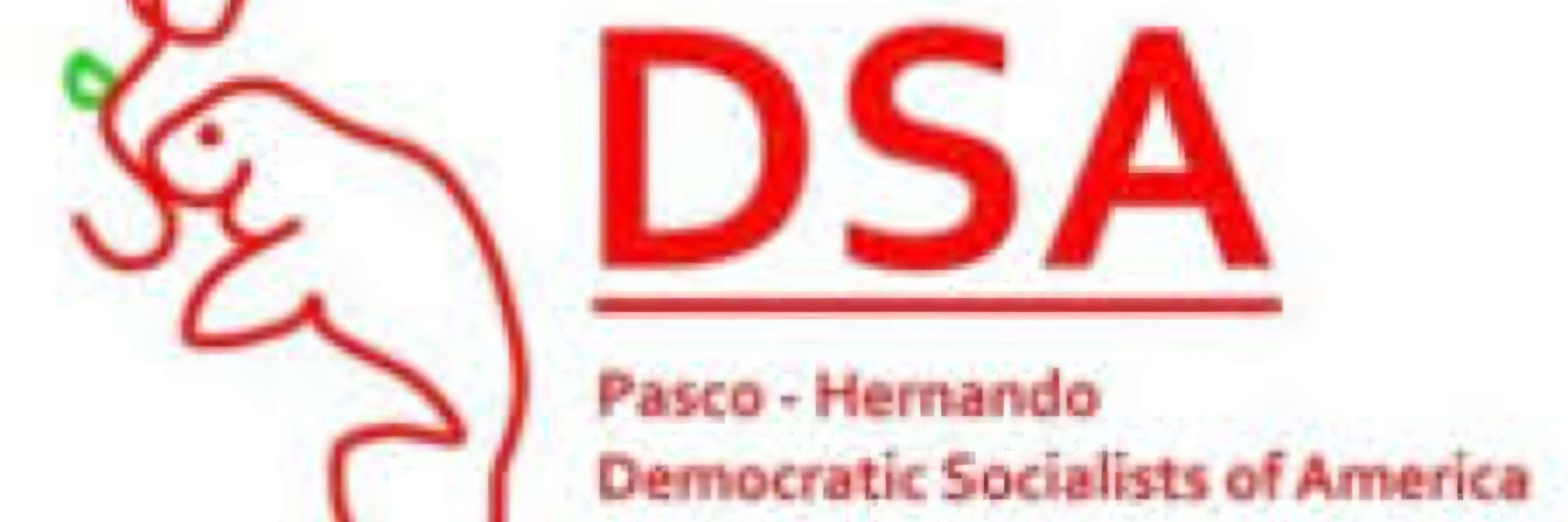 Pasco-Hernando DSA