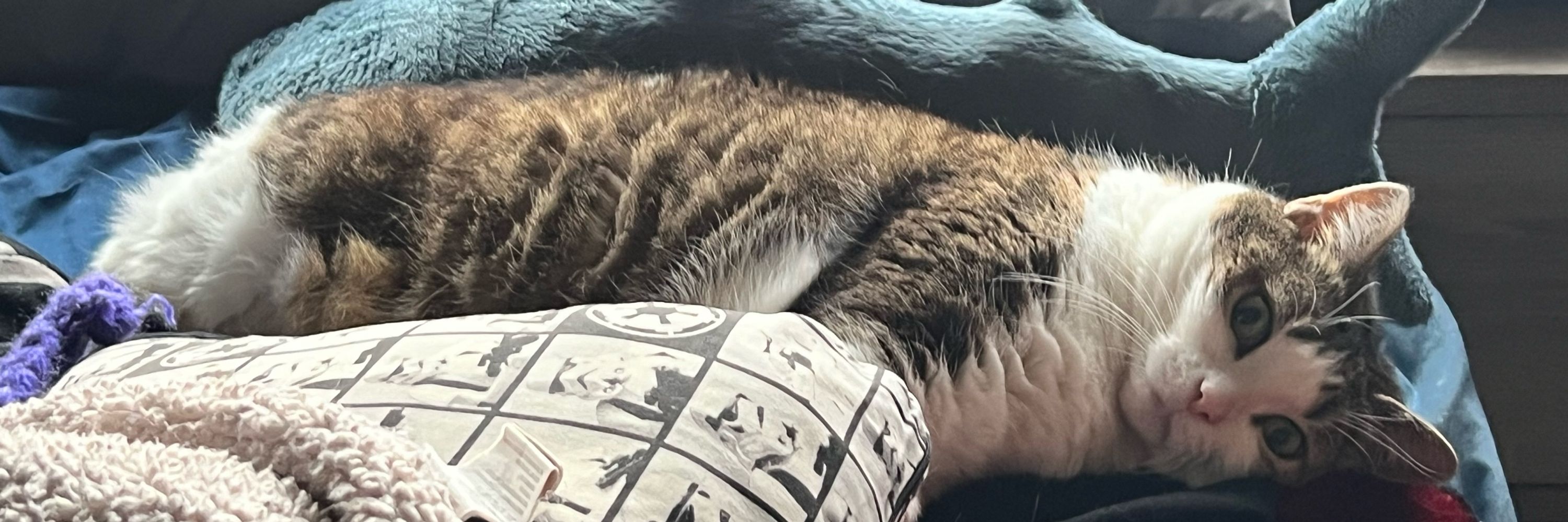 Tuna