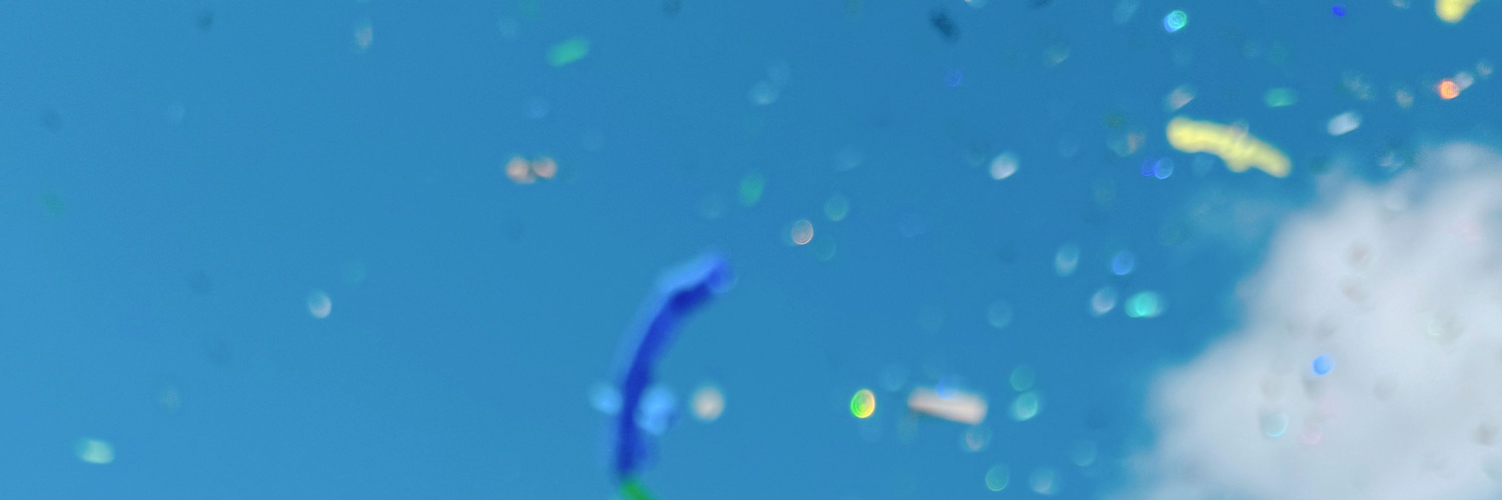 とうめヱ🌏🦋