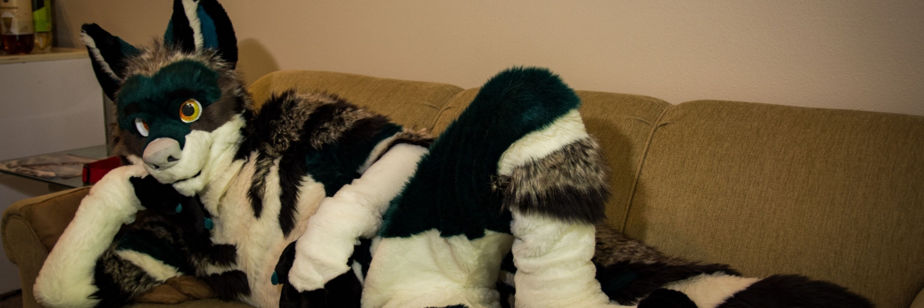 Catnap/Winter