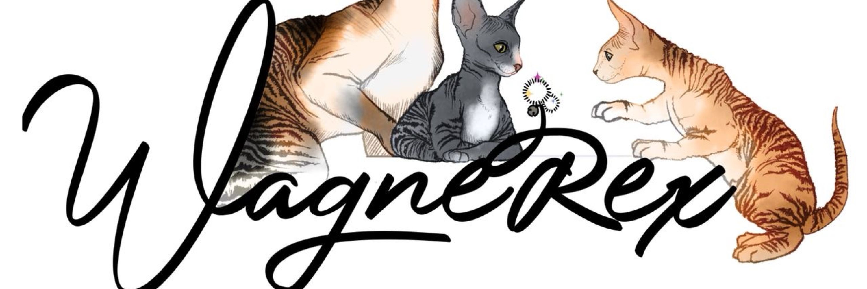 WagneRex Cornish Rex Cattery
