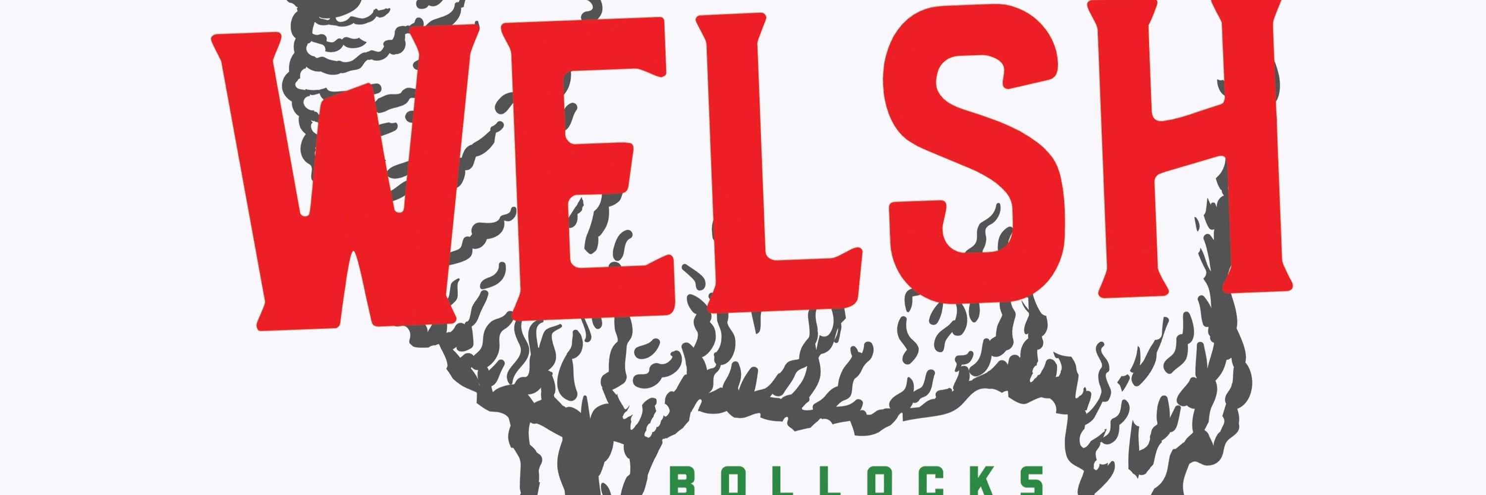 Welsh Bollocks