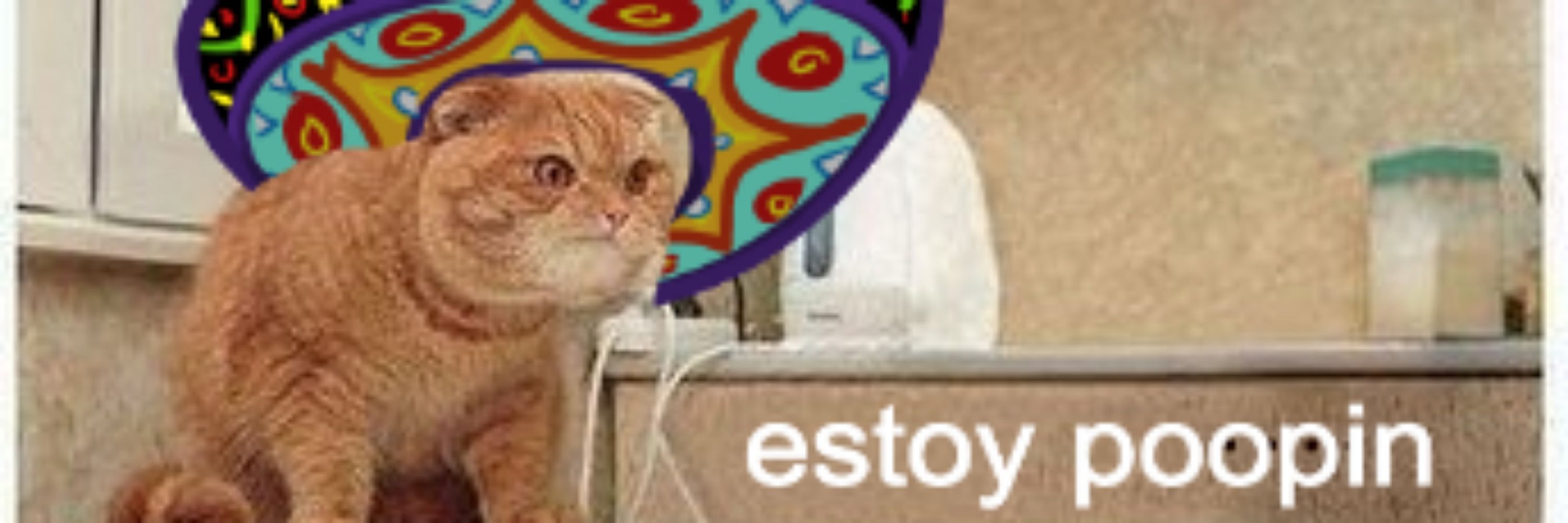 Zento