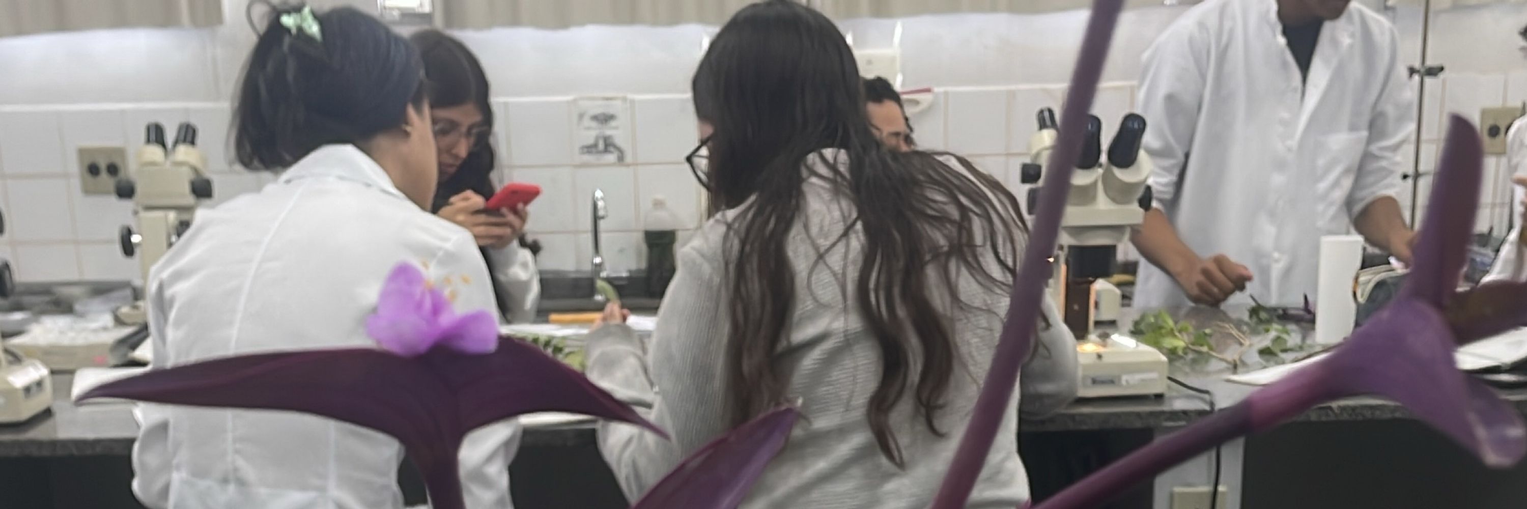 Biólogo de Apartamento 