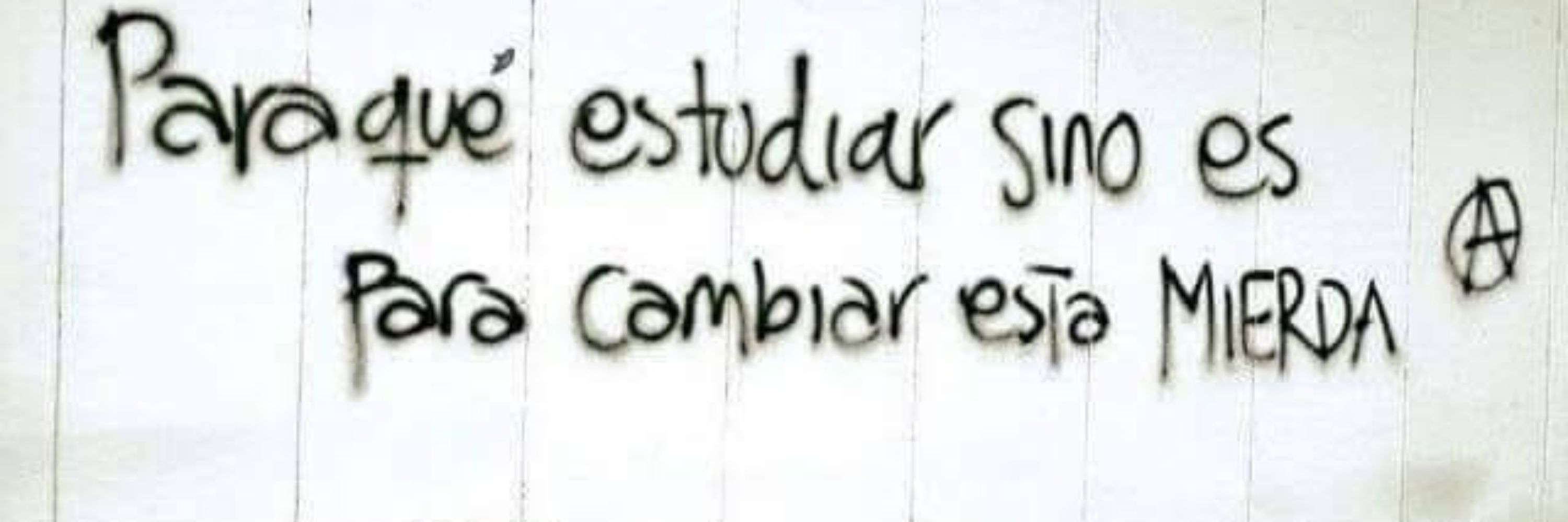 amandamunizo