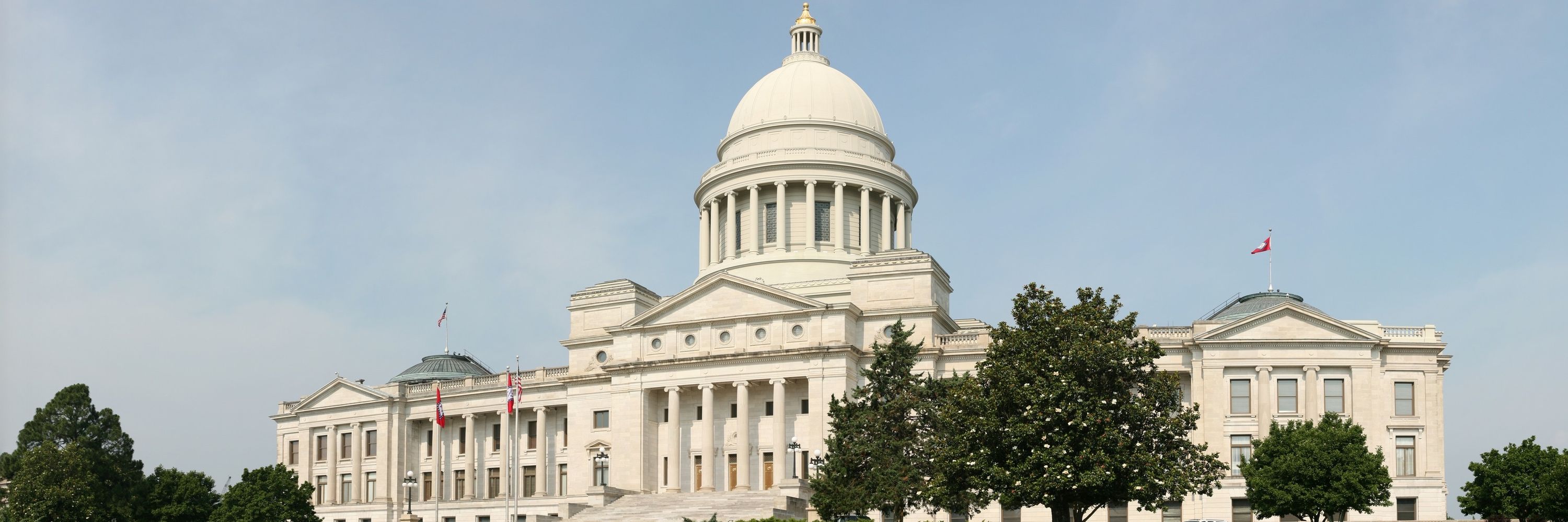 Arkansas Public Policy Panel