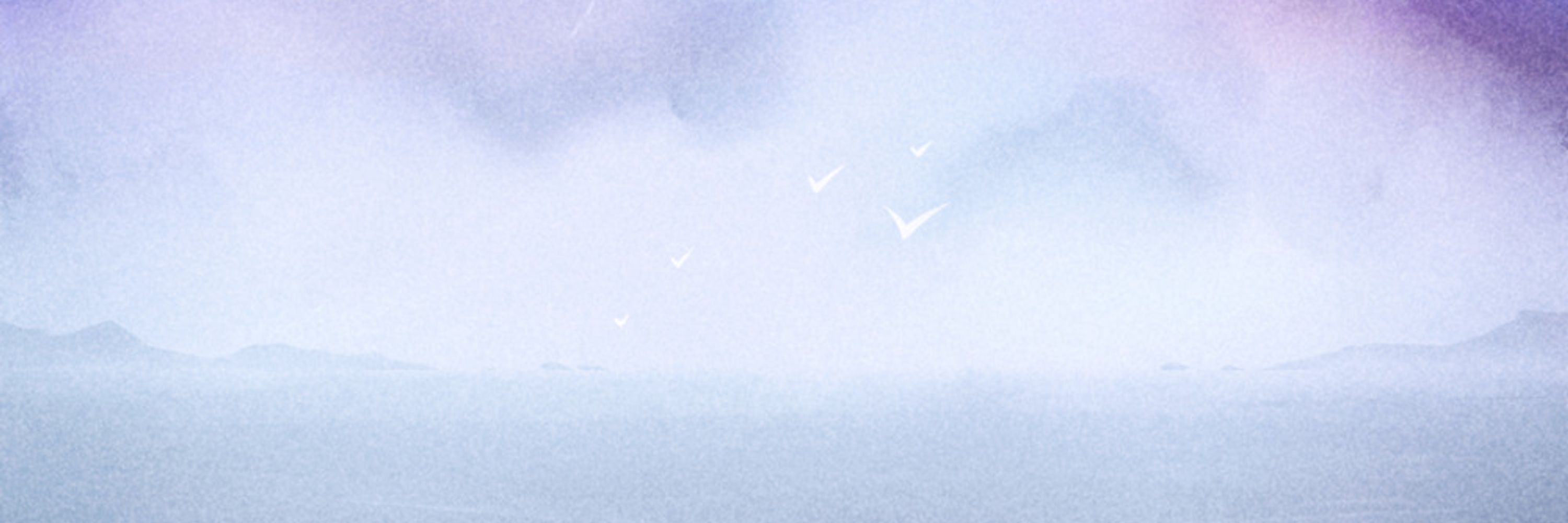 Old-World-Bird