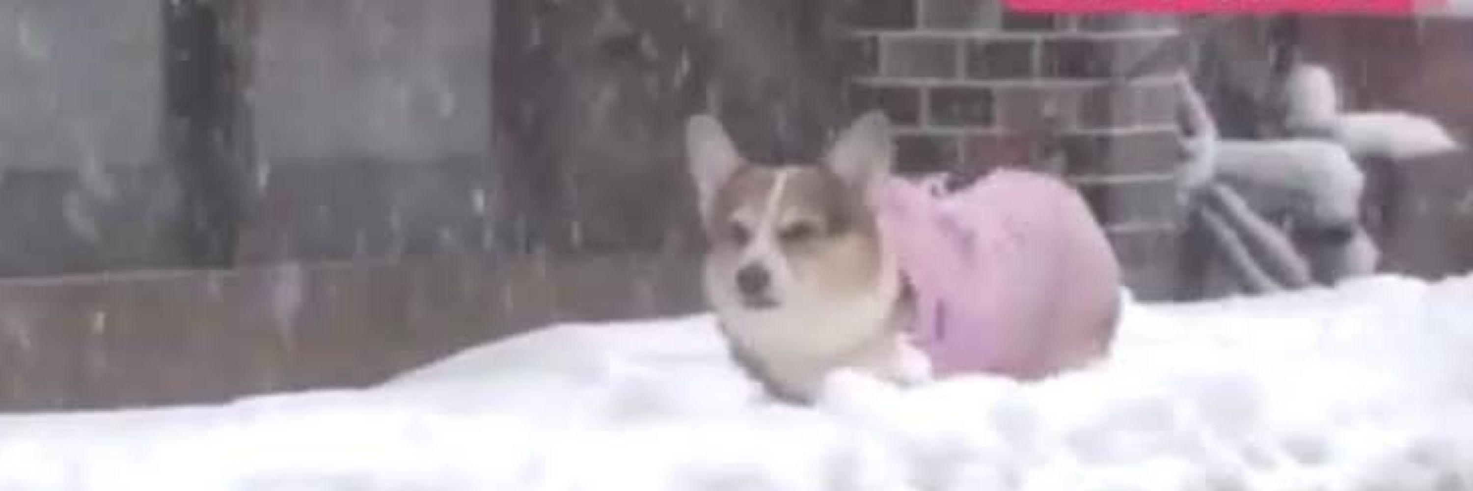 りかい