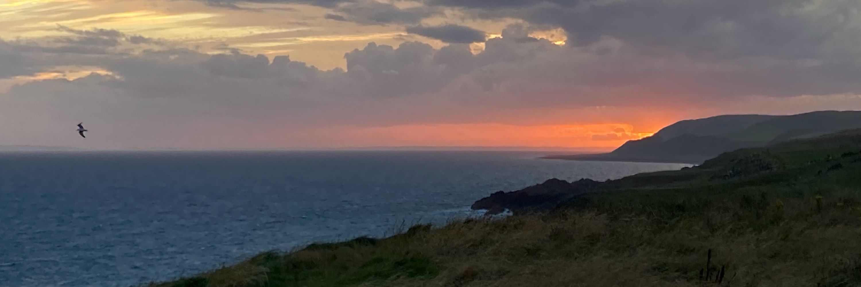 Stiùbhart Dunmore