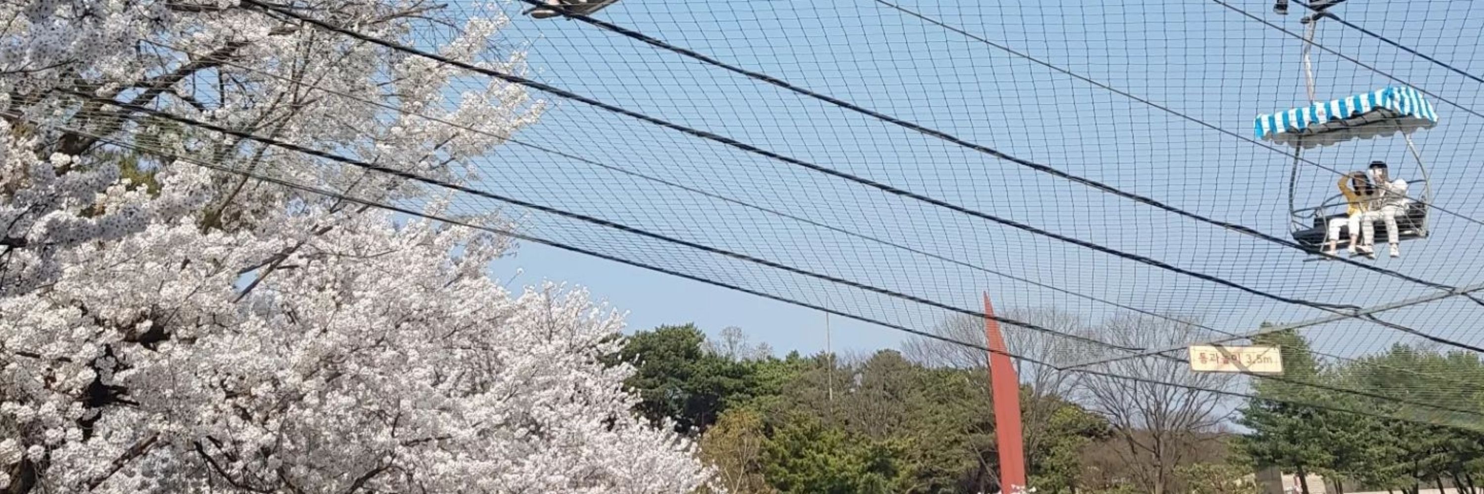 네버노