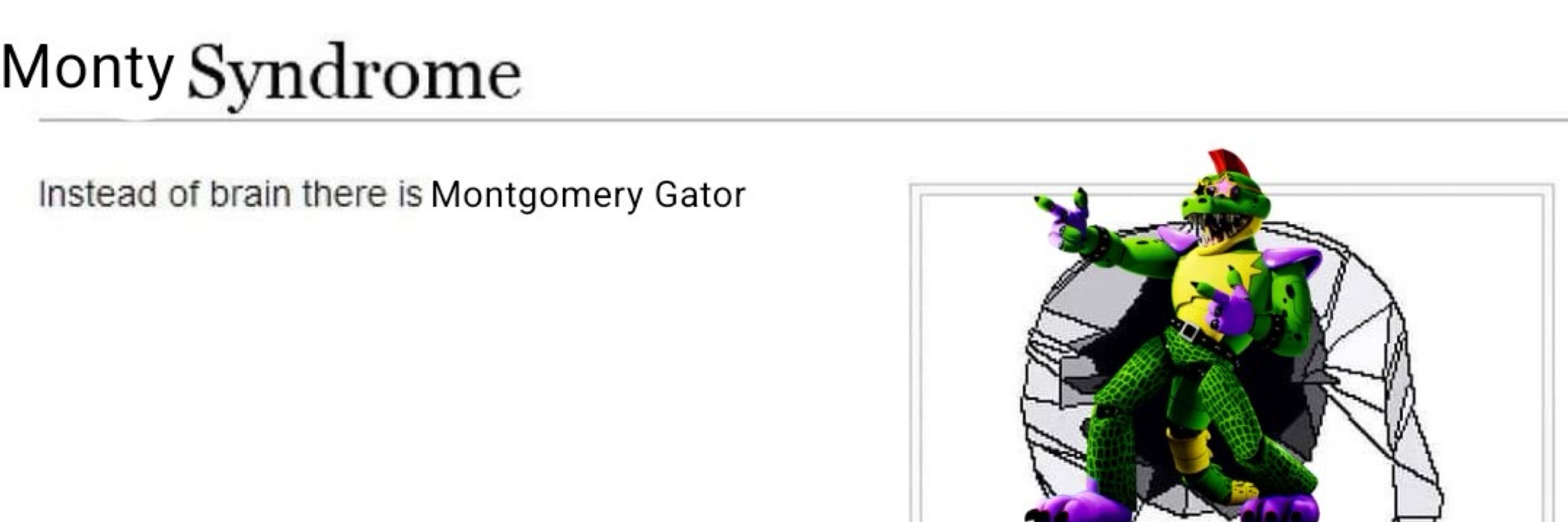 Montgomery Gator