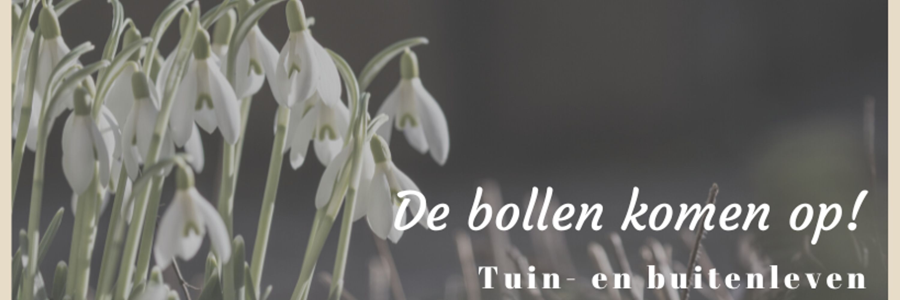 TuinenBuitenleven.com