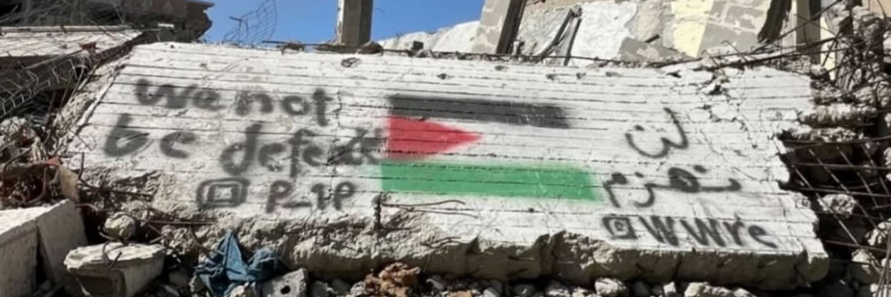 Mahmoud in Gaza🇵🇸