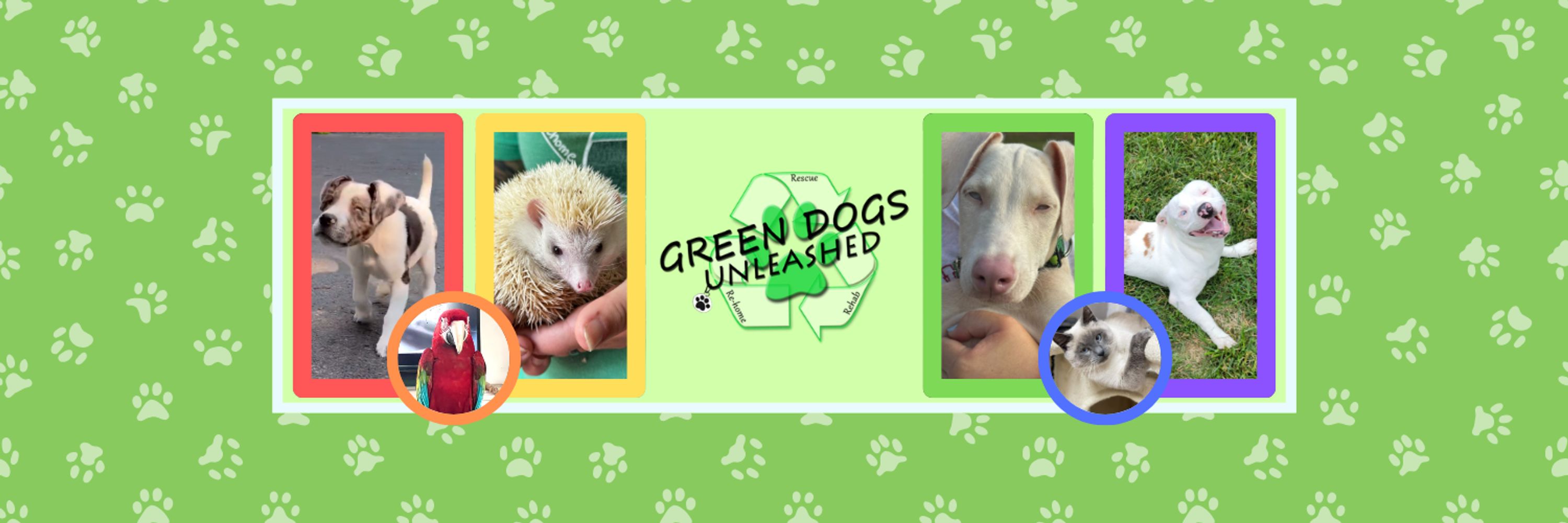 Green Dogs Unleashed