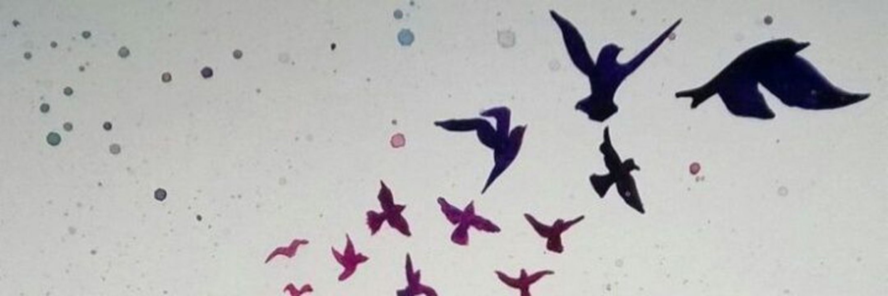 yelyeli🦋🌈☮️