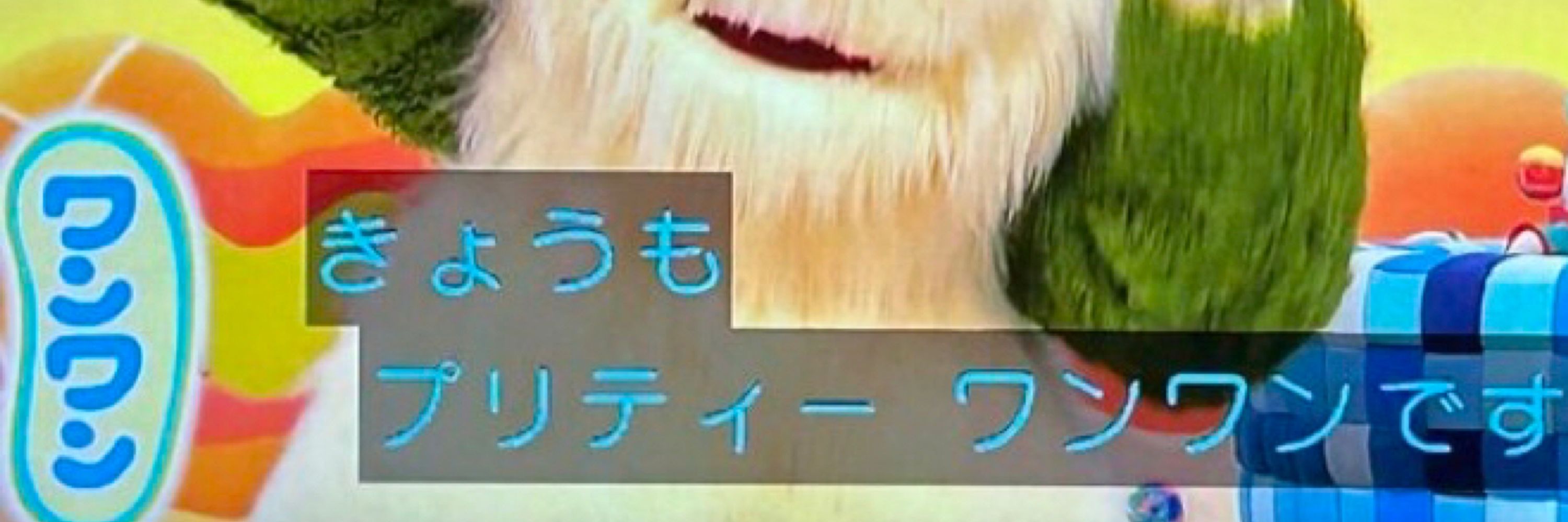餅野郎