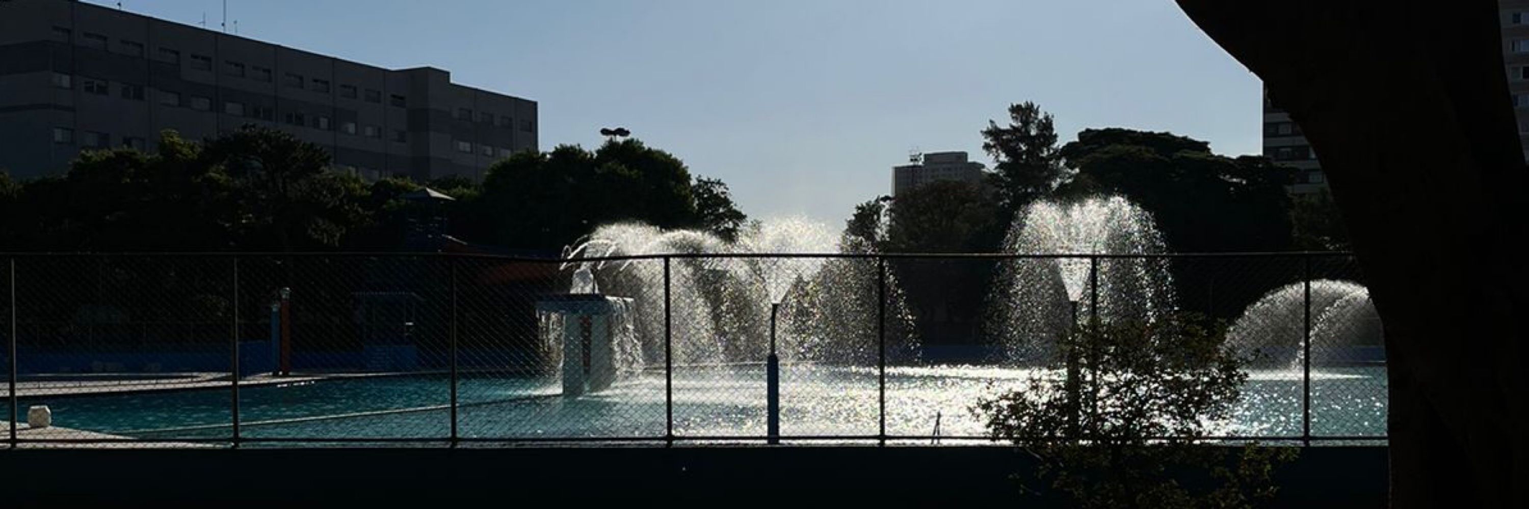 Pereira