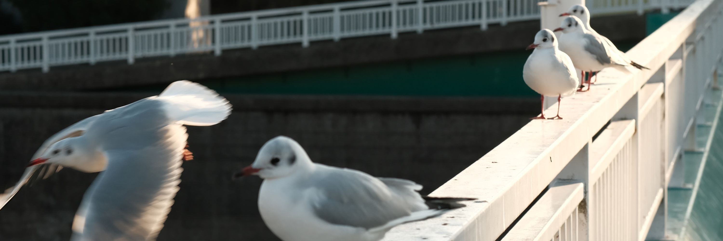 Jun