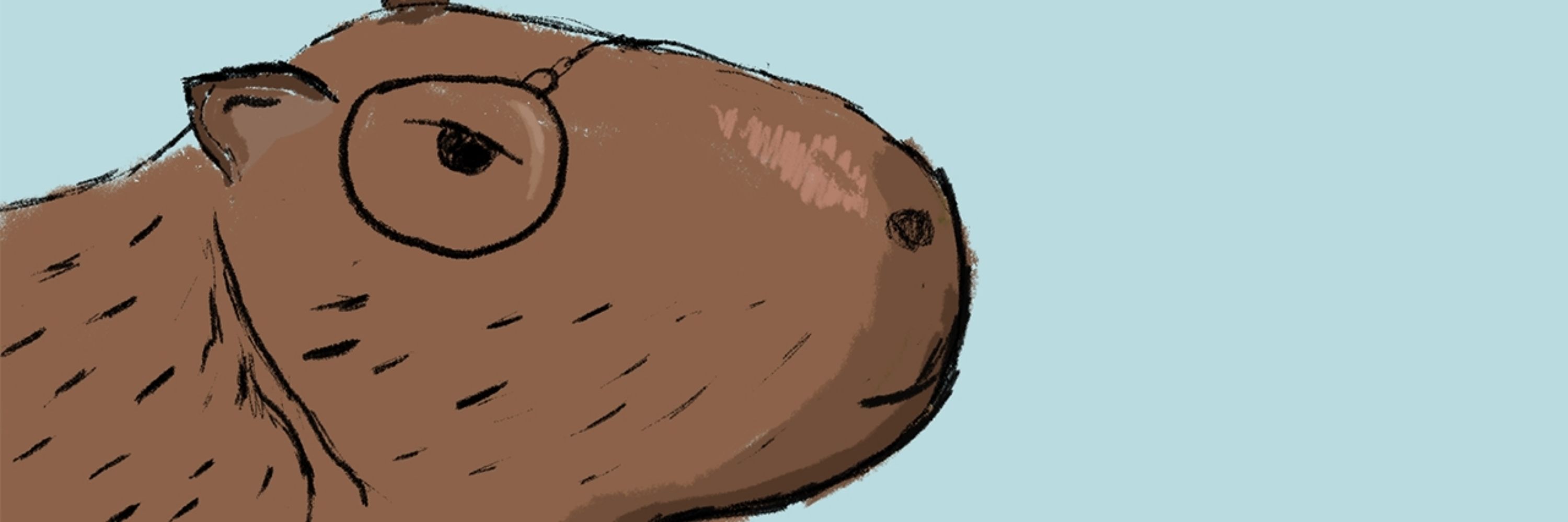 Economize Com a Capivara 