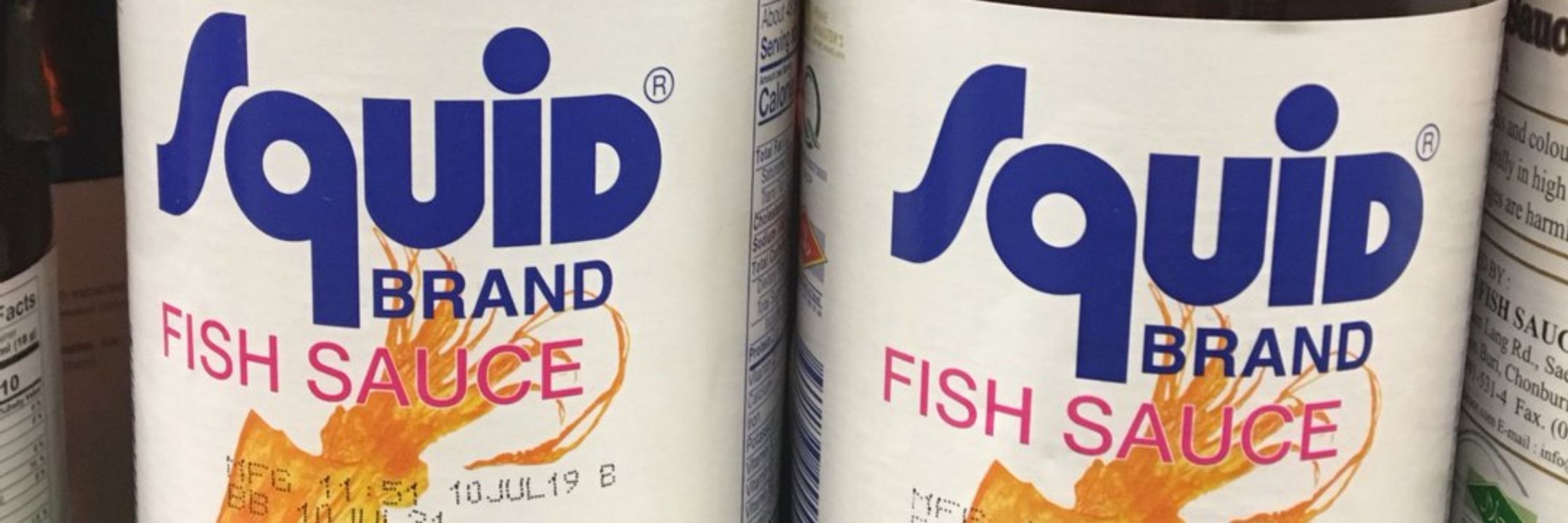 squid