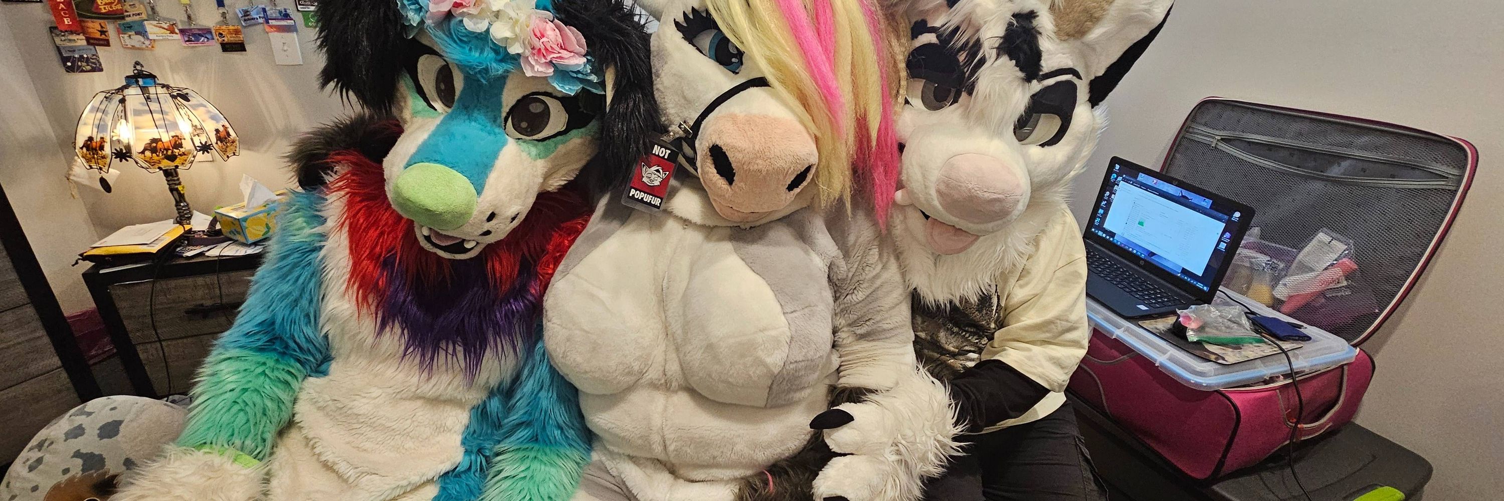 Reno PunkDawg 🔜 FWA/AC/IFC/MFF/ANW
