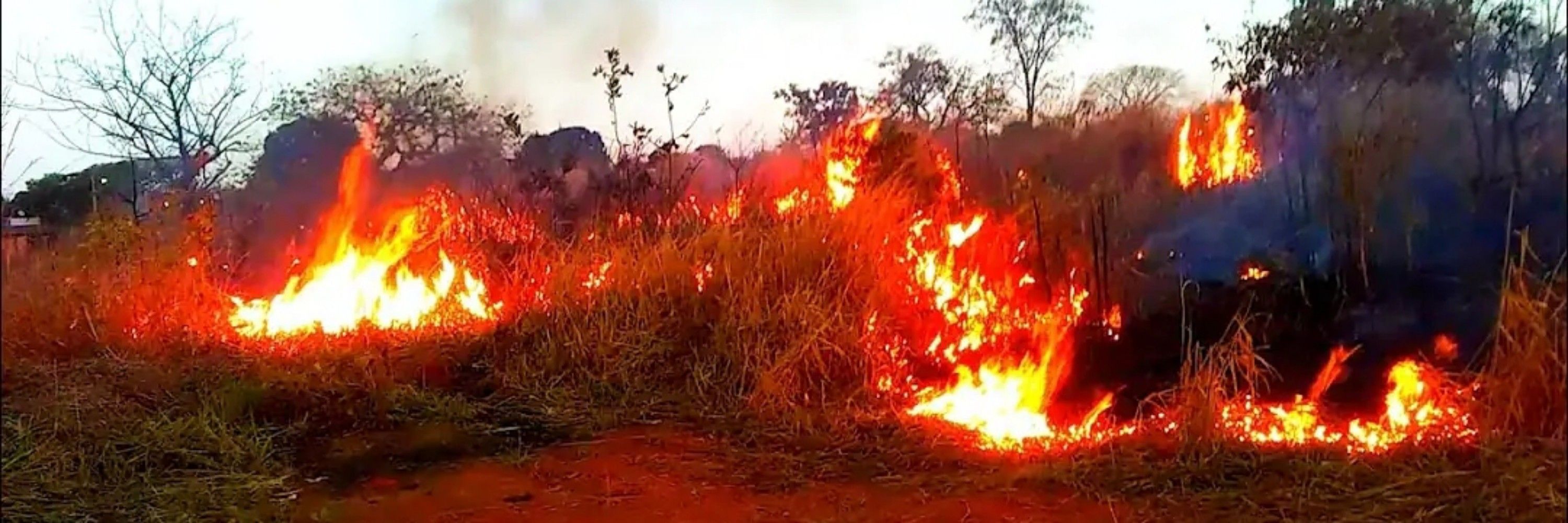 Mato do Blue Sky (status do momento: incendiado)