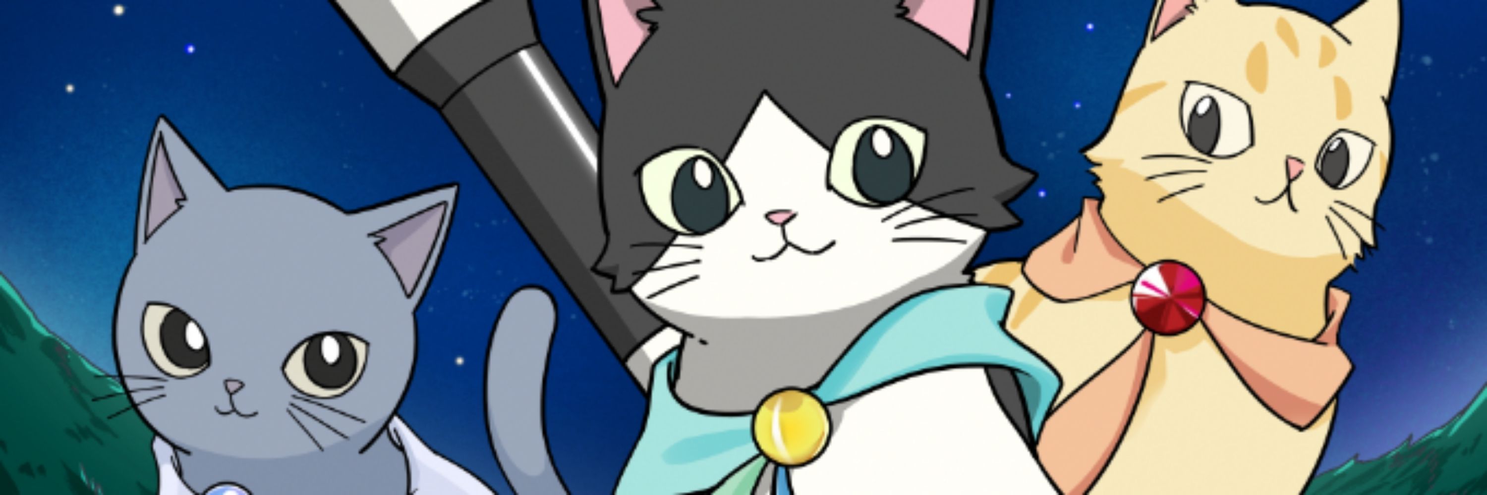 にゃんたい観測