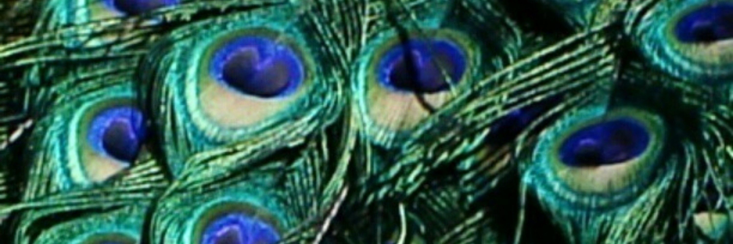 Mayetis