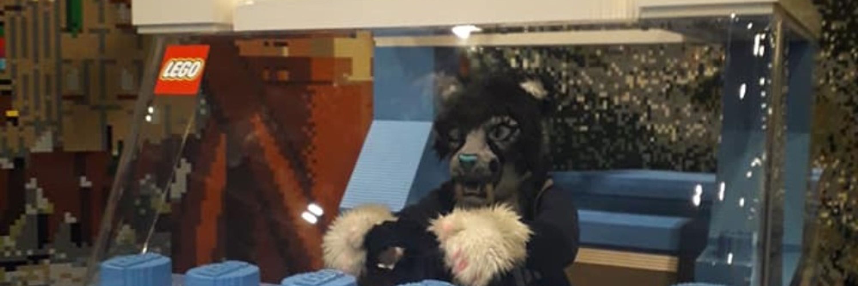 ZeldySnowLeopard