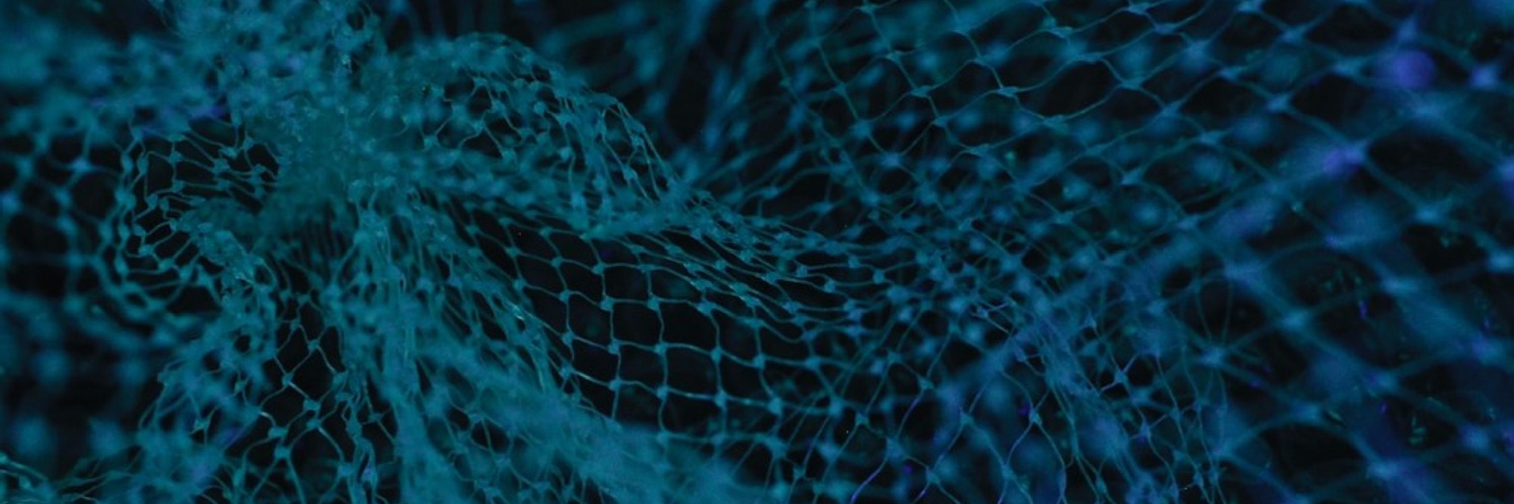 Neural Networks