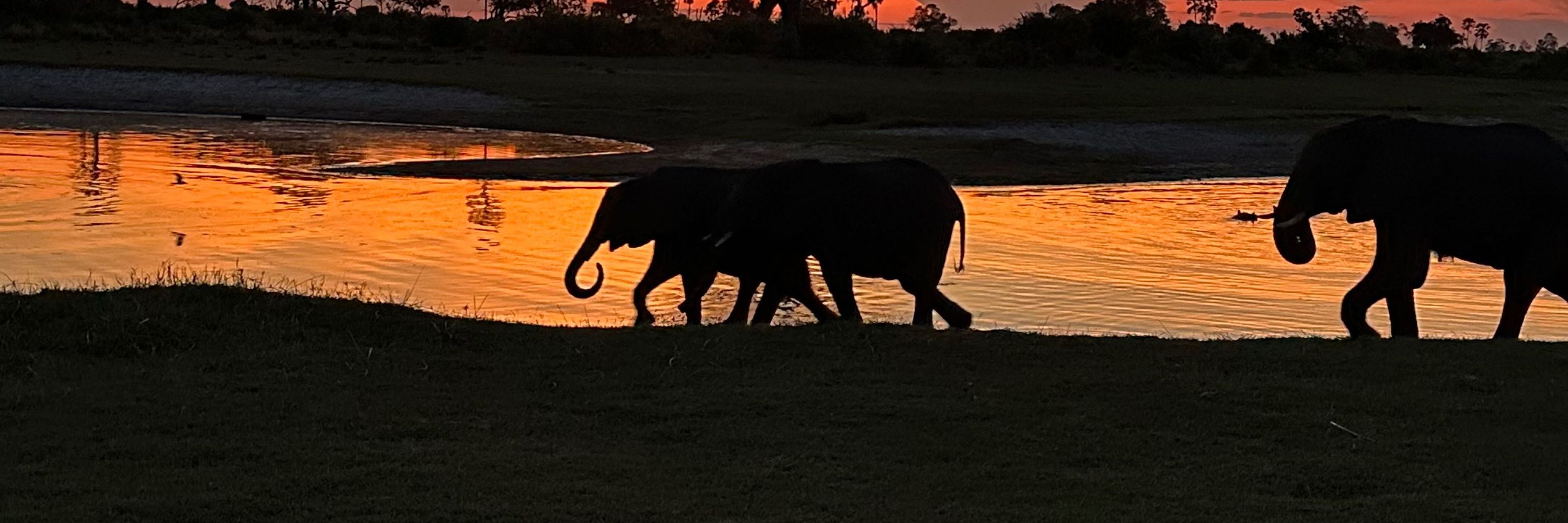 Gracious Getaways