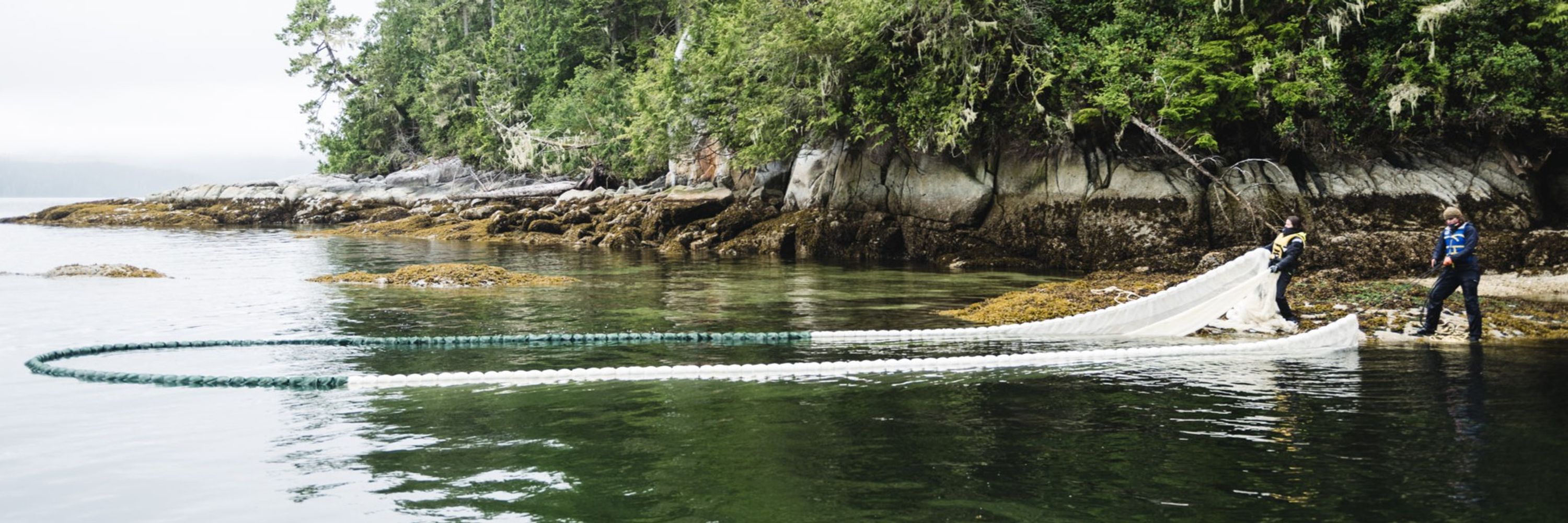 Salmon Coast Society 