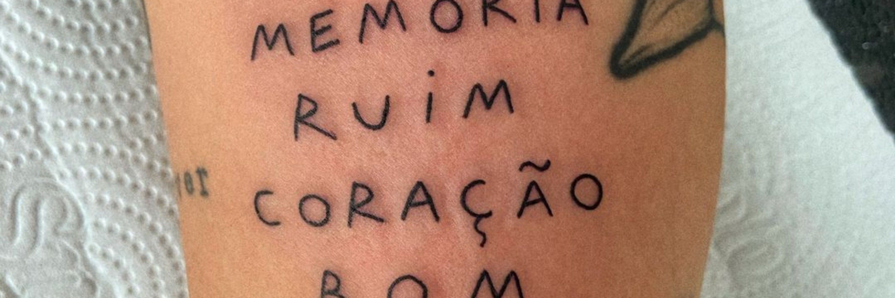 novaes 🕷